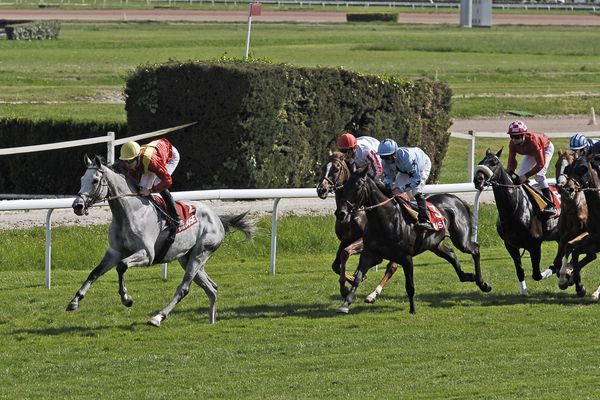 Les hippodromes refont le plein en 2019