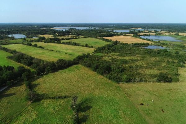 Avec ses 3000 étangs, le Parc de la Brenne est une région connue pour sa grande richesse naturelle.