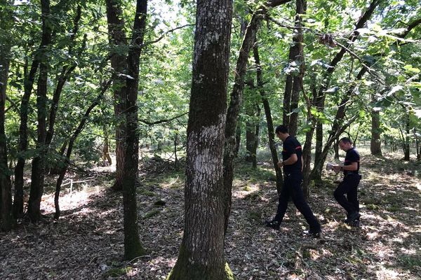 Les pompiers du SDIS 45 en reconnaissance en Sologne.