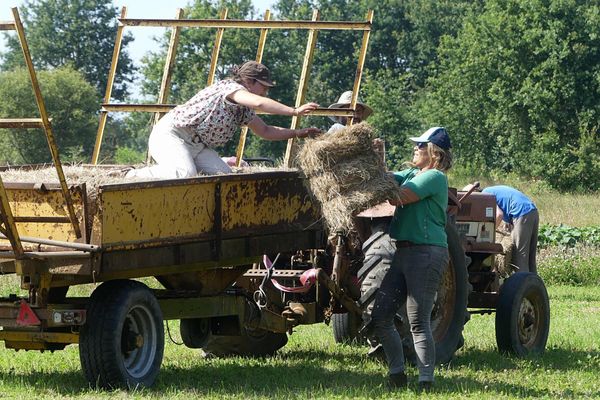 Julie essaye le Wwoffing à la Ferme des Champs libres