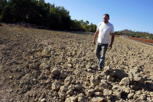 Plus d'un an après l'épisode de sécheresse dans le département du Vaucluse, trois nouvelles communes viennent d'être reconnues comme victimes d'une catastrophe naturelle. Cela rapporte à une centaine le nombre de villes qui peuvent désormais demander à être indemnisée à ce titre dans ce département.