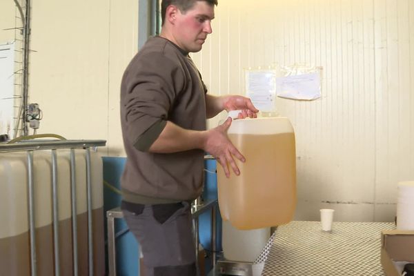 Les professionnels ont de plus en plus de mal à se fournir en huile de tournesol. Une pénurie pourrait se faire sentir dans les rayons de nos supermarchés d'ici quelques mois.