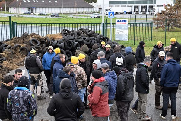 A l'appel de la Coordination rurale, une centaine d'agriculteurs bloquent la plateforme logistique d'Aldi dans le Tarn et s'apprête à se rendre à celle de Carrefour à Colomiers en Haute-Garonne, ce vendredi 22 novembre 2024.