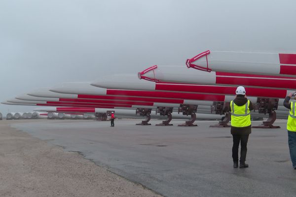 Plusieurs hectares du port de Cherbourg sont consacrés au stockage des structures d'éoliennes.