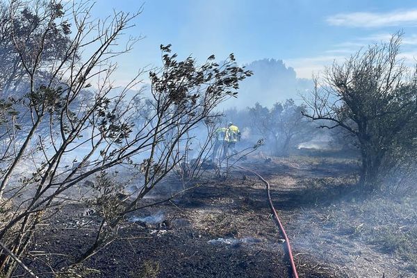 Un incendie sur le secteur de Mouriès s'est déclaré au petit matin attisé par de violentes rafales de vent.