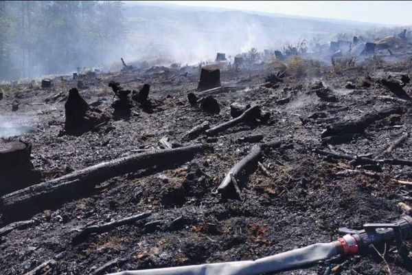 5000 m² de végétation et de déchets de bois ont brûlé sur une parcelle au coeur du Morvan, à Château-Chinon (Nièvre).