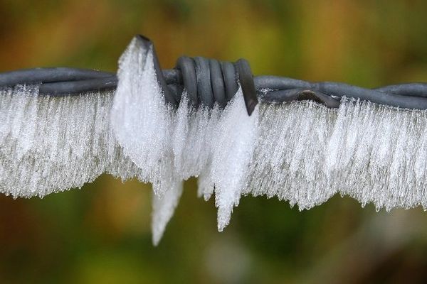 Le givre