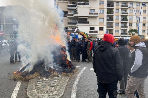 Les éleveurs estiment que les pertes liées à la MHE ne sont pas prises en compte par l'Etat qui n'aurait pas anticipé l'ampleur du phénomène.