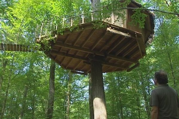 Dormir la tête dans les arbres ! La nouvelle attraction touristique du lac du Der.