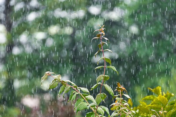 Pluie en matinée, ce mercredi en Normandie