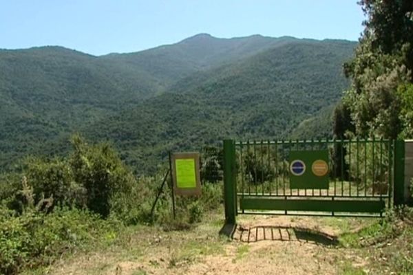 C'est ici, sur cette colline d'Albitreccia, que le centre d'enfouissement des déchets pourrait être installé