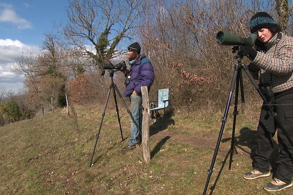 La Ligue de Protection des Oiseaux de Savoie organise des initiations au comptage des espèces durant la période de migration.