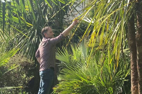 Le jardinier Paul William cultive ce jardin depuis 25 ans, à quelques kilomètres de la Loire.