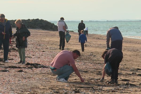 Plusieurs dizaines de volontaires ont participé à une collecte de déchets sur la plage de La Bernerie-en-Retz