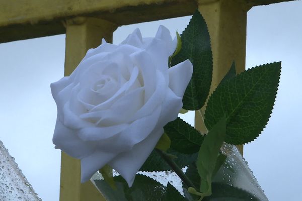 Des roses blanches ont été déposées sur les grilles de l'établissement dans lequel était scolarisé l'adolescent.