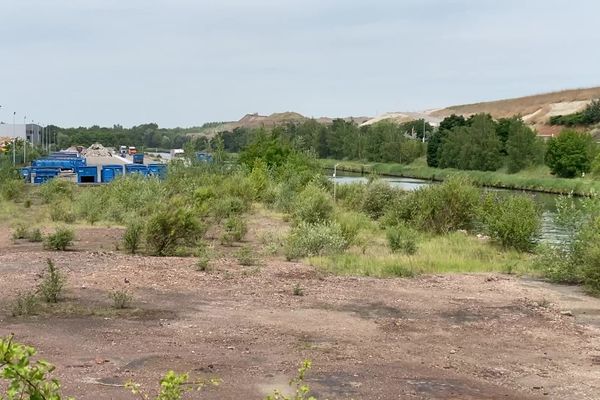 Les zones à proximité de l'ancien site industriel sont toujours pollueés au plomb