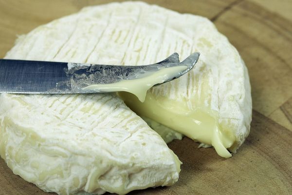 Illustration - Des fromages au lait cru suspectés d'être contaminés par la bactérie Escherichia coli de type O26, dans les Bouches-du-Rhône.