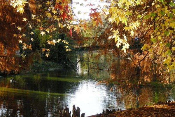 Automne au Jardin Public de Bordeaux