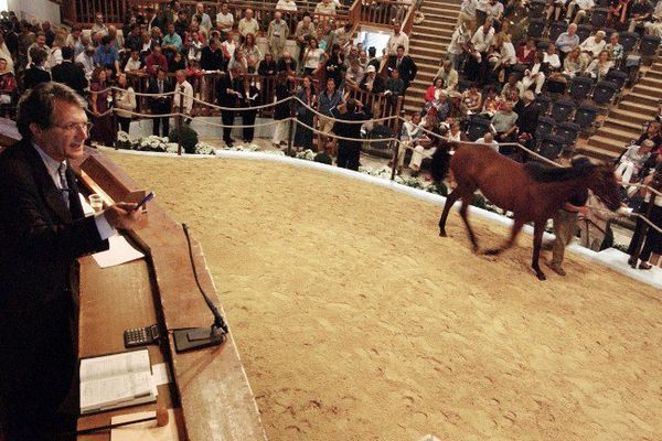 Philippe Augier lors de la vente des yearlings à Deauville.