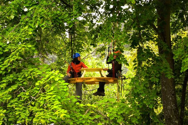 Pendant 4 jours des tables sont hissées en haut des arbres et peuvent accueillir jusqu'à 250 personnes pour débattre