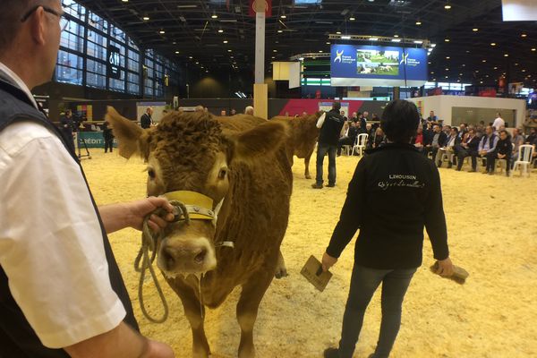 Joyeuse a été vendue pour 12000 euros