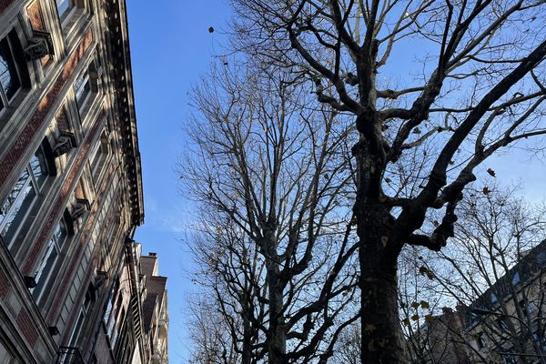 Le ciel lillois tout en bleu