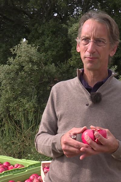 Alexandre Bameule, membre fondateur du Syndicat France Grenade, se bat pour imposer le fruit sur le marché français face aux importations.