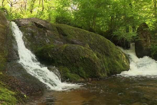 Les 140 hectares du site des cascades d’Augerolles bientôt classés Réserve Biologique Dirigée, une première en Limousin