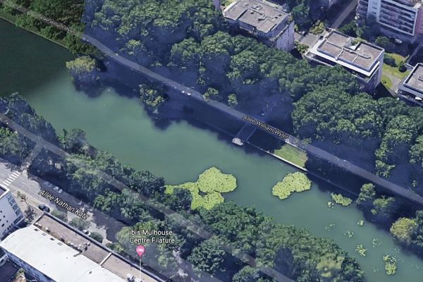 Le Nouveau Bassin n'est pas autorisé à la baignade.