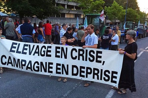 Les agriculteurs ont manifesté jeudi soir à Rodez pour alerter les pouvoirs publics sur leur situation.