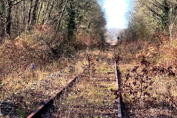 La ligne ferroviaire Limoges - Angoulême après Saillat-sur-Vienne.