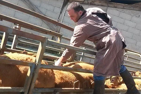 Une exploitation sur la commune de Bazelat en Creuse