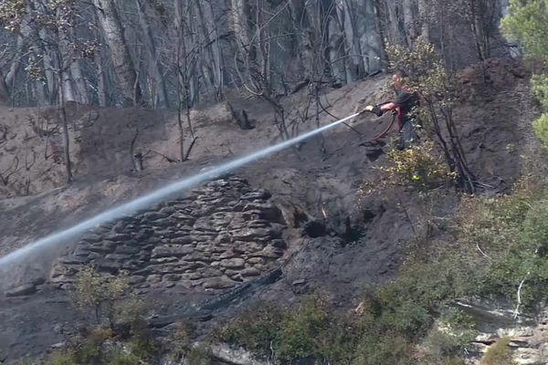 Le feu est fixé dans le massif de la Montagnette.