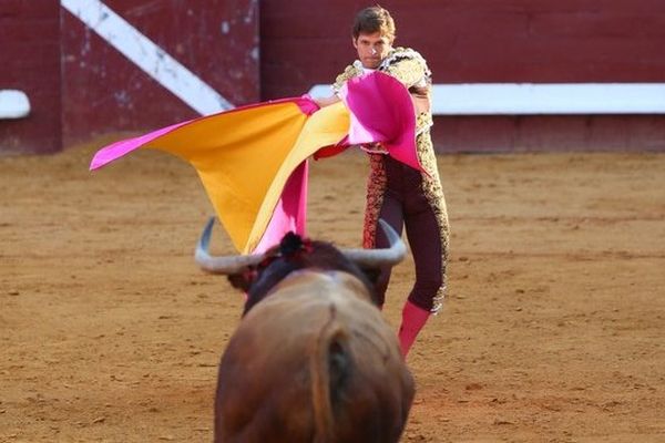 "El Juli à la cape face au quatrième toro de Victoriano del Rio: "zapopinement vôtre"