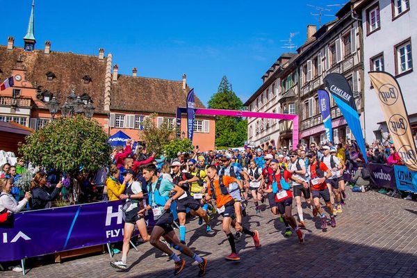 Trail Alsace Grand Est by UTMB - Trail des Celtes à Barr, édition 2023