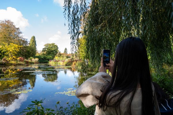 La Fondation Claude Monet avec ses jardins et la maison de Claude Monet à Giverny dans l Eure. Le Jardin d'eau avec Les Nympheas.