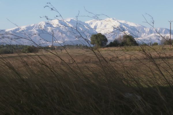 C'est un emblème des Pyrénées-Orientales qui pourrait être fragilisé. La tramontane n'a jamais aussi peu soufflé qu'en 2022 depuis le début des relevés de Météo France. La tendance sera-t-elle à l'essoufflement dans les années à venir