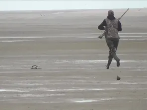 Le militant écologiste a diffusé sur X des images qu'il assure avoir pris en baie de Somme, pour dénoncer les pratiques de la chasse au gibier d'eau.