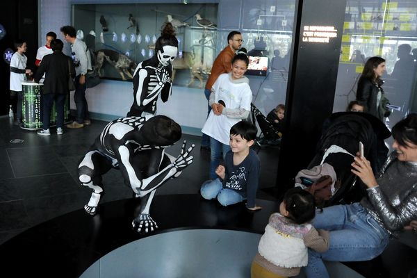 (Photo archives 18/05/2019. 15e édition de la nuit européenne des musées au museum Toulouse.)  2024 marque la 20e édition d'un rdv bien installé dans le cœur des Français désormais.