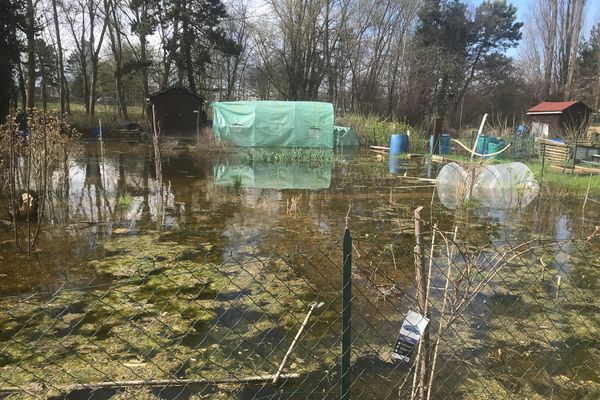 Il n'est pas censé y avoir une mare à cet emplacement, mais un petit hectare de potagers et de serres.