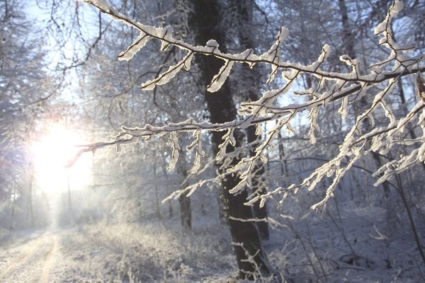 De le neige est attendue en Auvergne dans la nuit de lundi à mardi 20 novembre. 