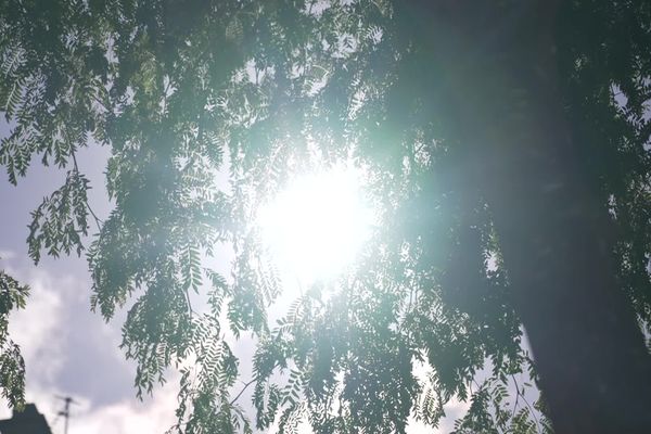 Les prévisions météo dans les Hauts-de-France, vendredi 2 août