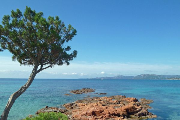 Paysage marin sur la plage de Palombaggia, un lieu-dit situé sur la commune de Porto-Vecchio en Corse-du-Sud.