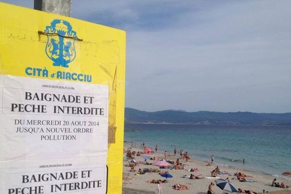 Malgré l'arrêté pris par la mairie, la plage est très fréquentée. 