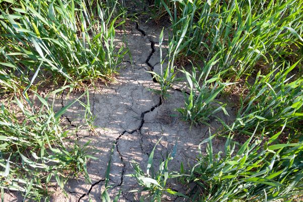 La préfecture de l'Allier vient de prendre un arrêté pour renforcer les mesures de restrictions de l’usage de l’eau.