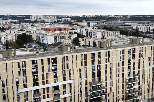 Le quartier de la Paillade à Montpellier. 