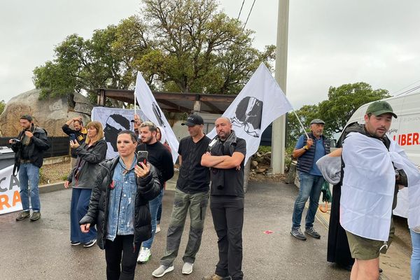 Ce samedi 5 juin, une cinquantaine de militants de Corsica Libera ont occupé un complexe hôtelier à Lecci, en Corse-du-Sud. 