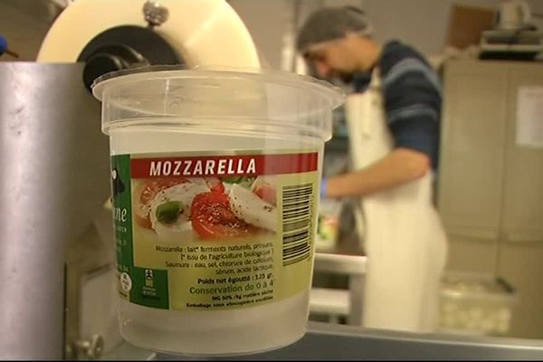 Voici la toute première mozzarella d'Ardenne.