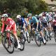 Le peloton de la Vuelta avec l'Australien Ben O'Connor en maillot rouge lors de l'édition 2024, remportée par le Slovène Primoz Roglic.