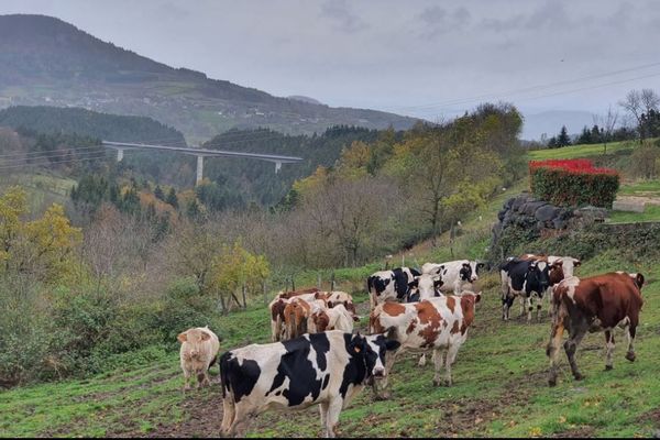 D'importants travaux de sécurisation ont eu lieu sur le viaduc du Ramel, en Haute-Loire.